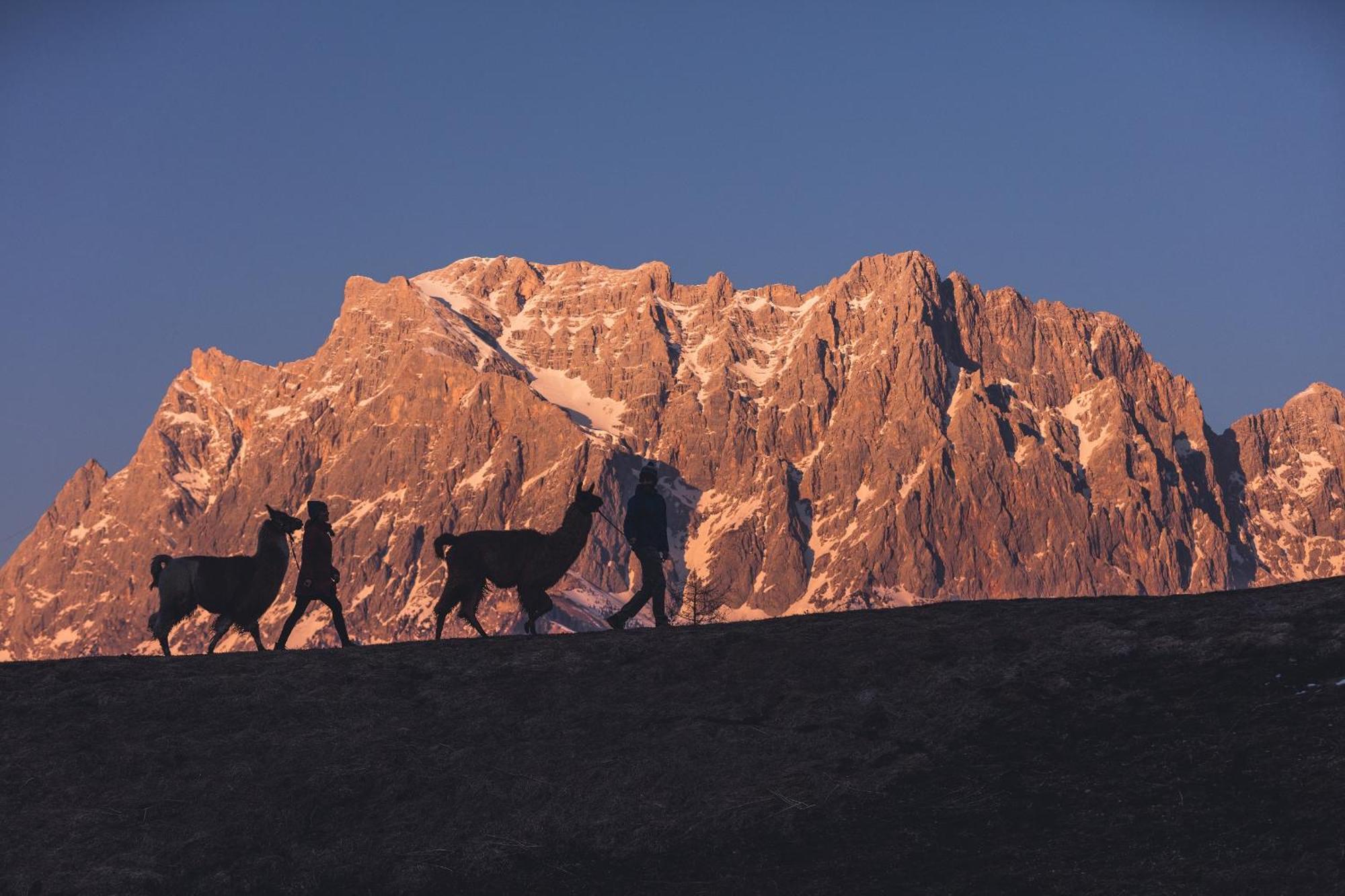 Appartement Gipfelblick- Tiroler Zugspitze Arena In Biberwier Exterior foto